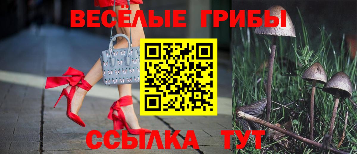 Галлюциногенные грибы прущие грибы  Вход с VPN  Отрадное 