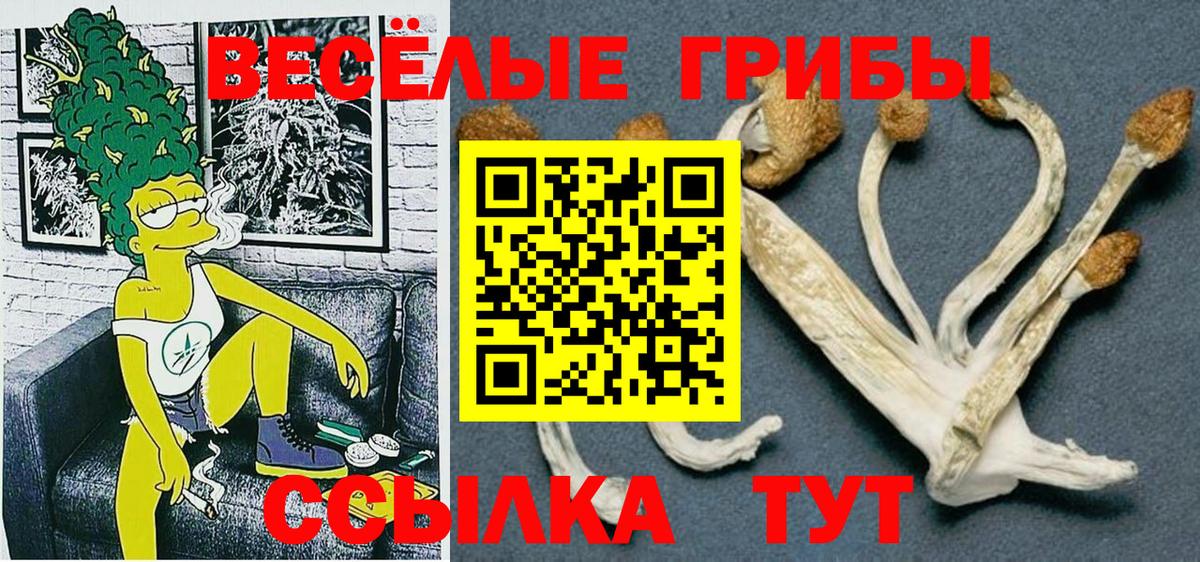 Галлюциногенные грибы ЛСД Отрадное